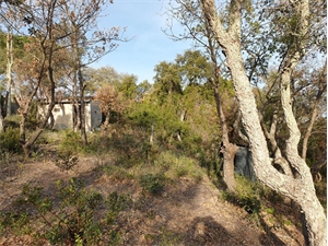 terrain de loisirs à la vente -   66400  CERET, surface 20000 m2 vente terrain de loisirs - UBI435431789